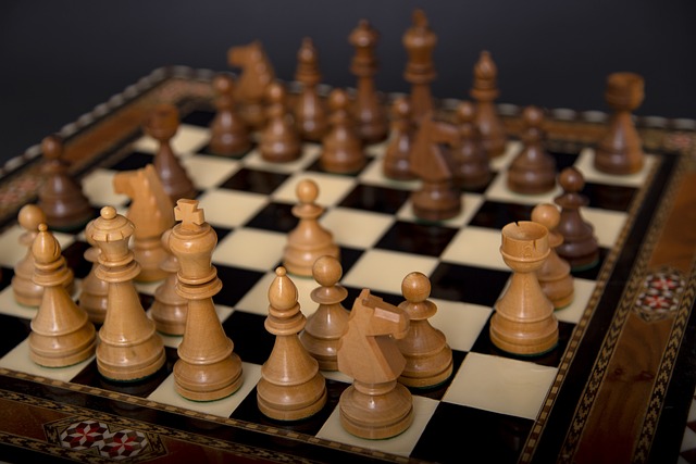 šachy jsou oblíbené u mnoha lidí